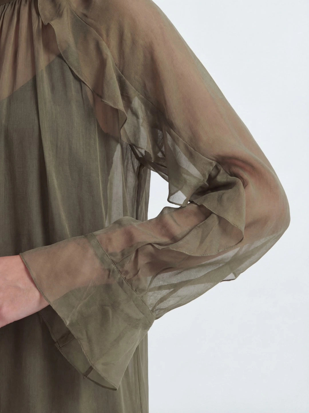 Ruffle Trim Sheer Mini Dress